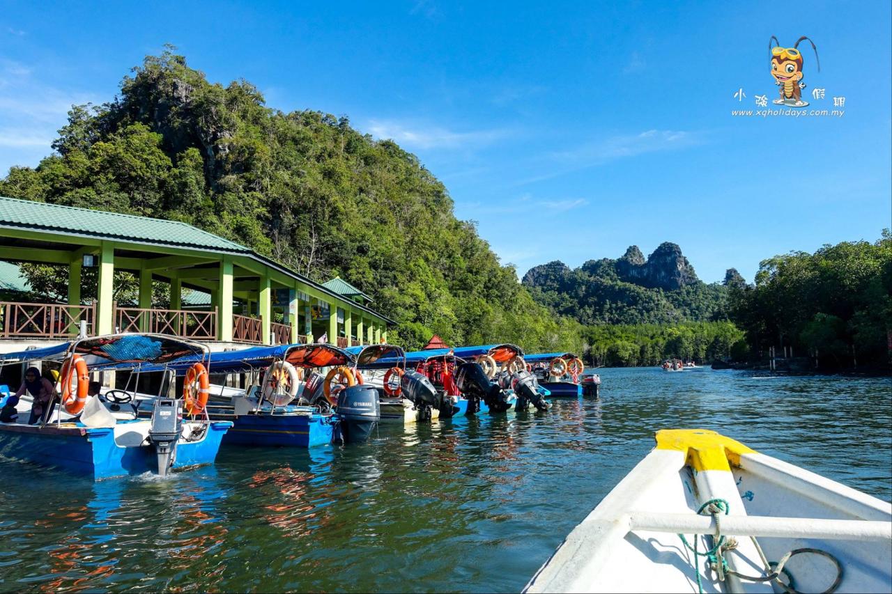 Jelajahi Keindahan Mangrove Langkawi: Tur Ekosistem Pesisir yang Menakjubkan